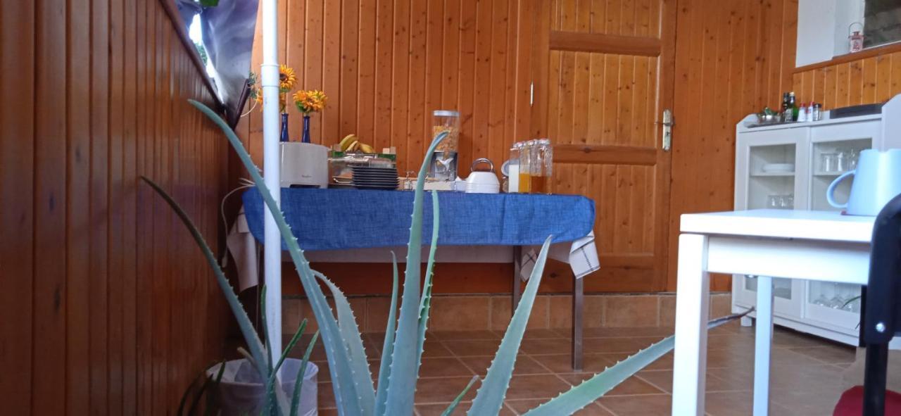 B&B Paraiso Del Sol Maspalomas  Kültér fotó